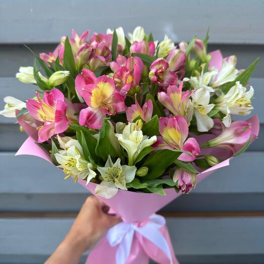 Monobloque de alstroemeria