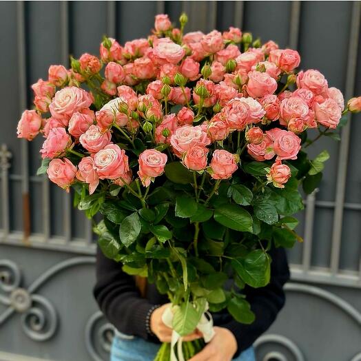 Кустовая  роза 15