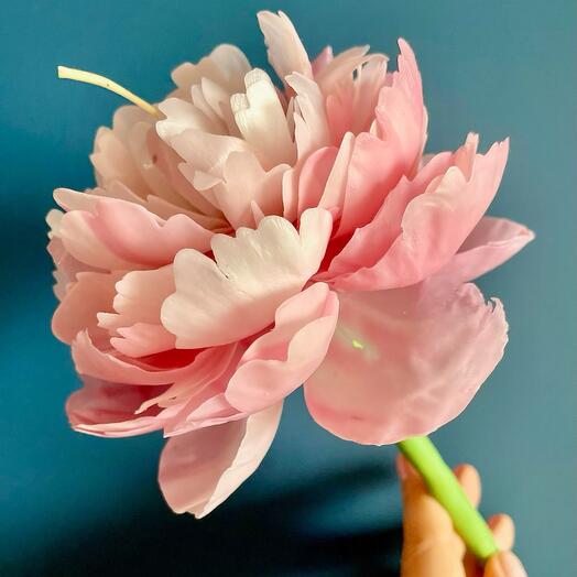 Свеча Пион садовый на стебле