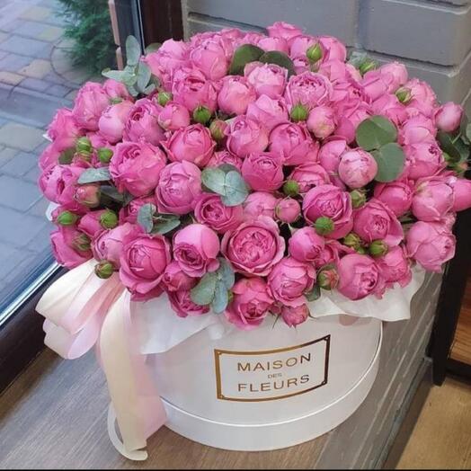 Для самой любимой мисти бабл