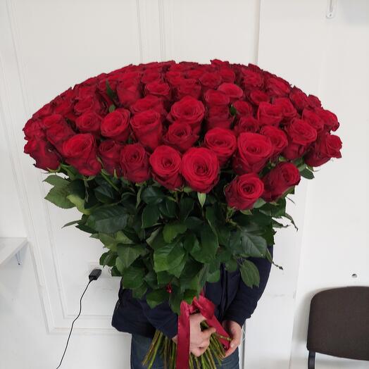 101 roses meter high