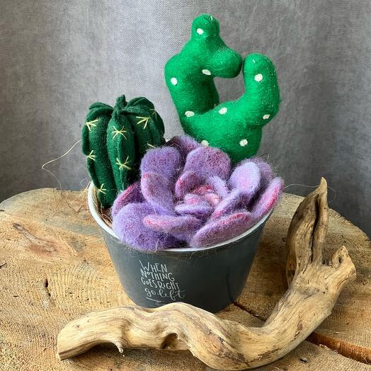 Декоративный кактус, суккулент в горшке🌵 Ручная работа. Интерьерный зеленый декор. цветы маме, любимой девушке, женщине, жене