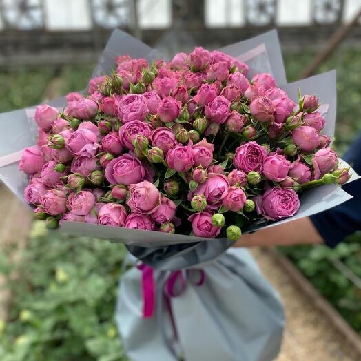 Роскошный букет пионовидные розы 31 шт мисти Бабблс