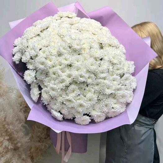 Хризантема кустовая алтай