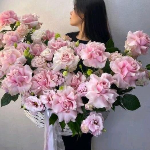 Basket french kiss