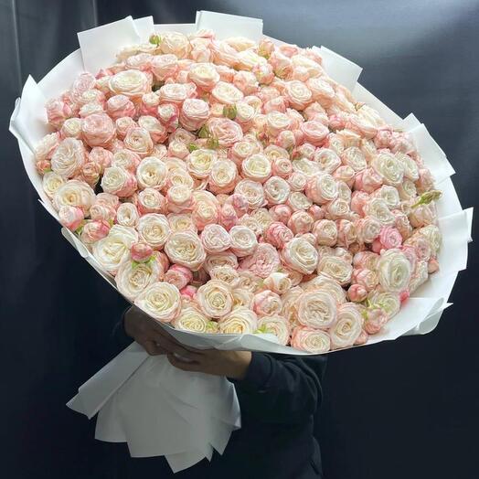 Кустовая пионовидная роза
