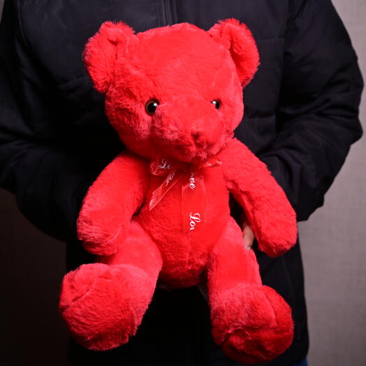 Red Teddy Bear (W30/H40)-5685