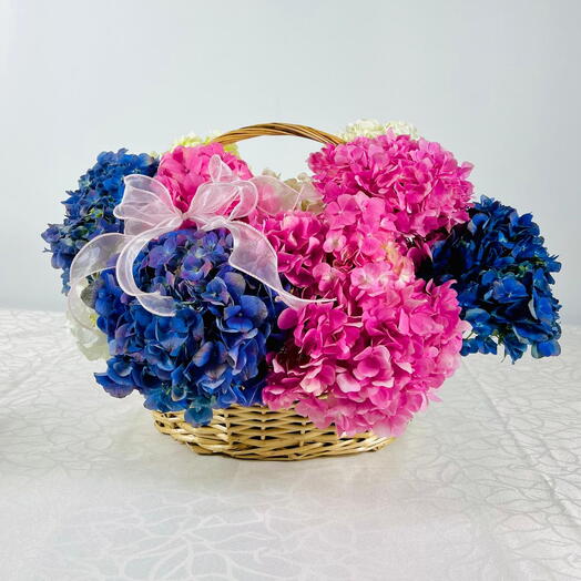 HYDRANGEA BASKET