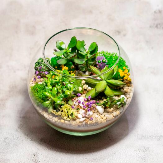 Флорариум М. Зеленый натуральный