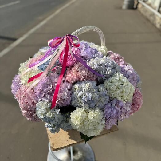 Гортензия в корзине