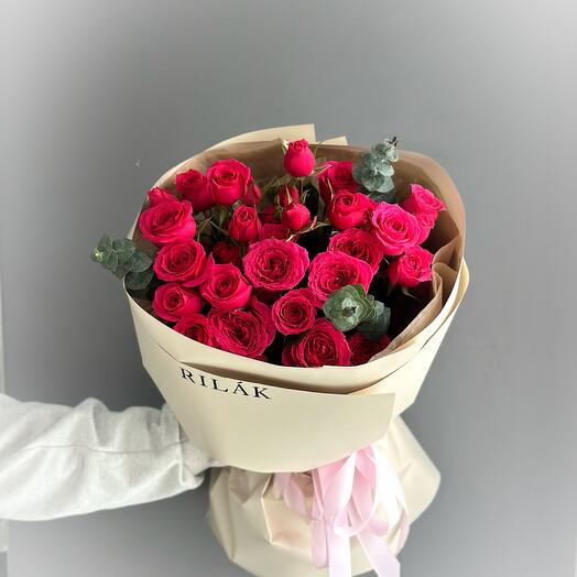 005 Mono Spray Sofia Euca