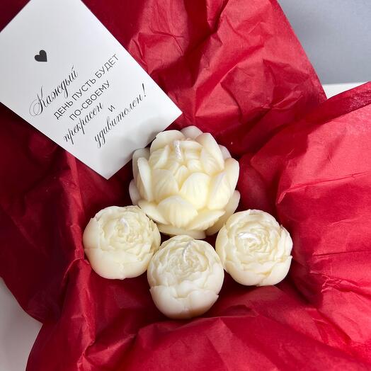 Conjunto de velas de cera natural Lotus + peonías