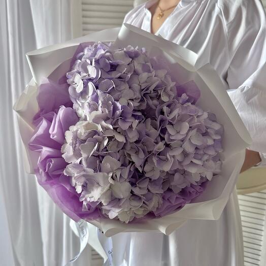 Букет сиреневых гортензий 3 штуки в дизайнерской упаковке🌸 Размер М