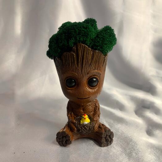 Мини грут со стабилизированным мхом