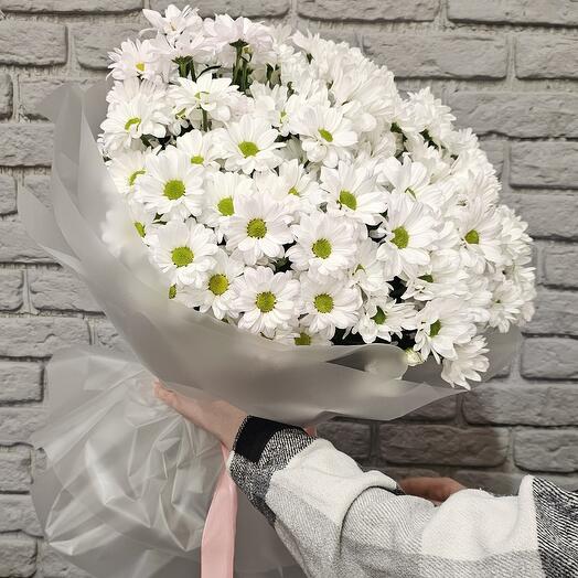~171 ромашка (17 веточек, огромный букет) СУПЕР ЦЕНА