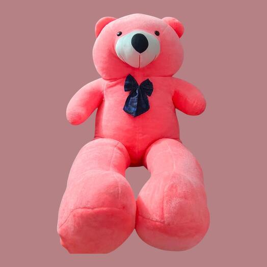 Teddy Twinkle