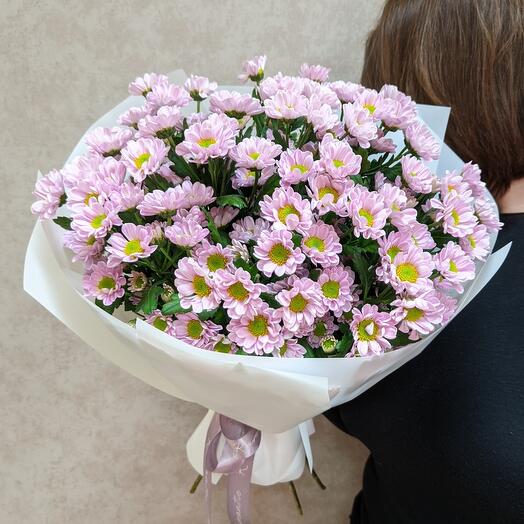 Хризантемы кустовые сиреневые 11 шт — заказать доставку Москва