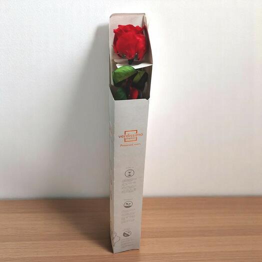 Rosa Eterna