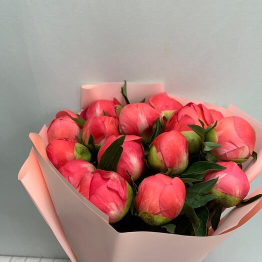 Букет из 15 коралловых пионов