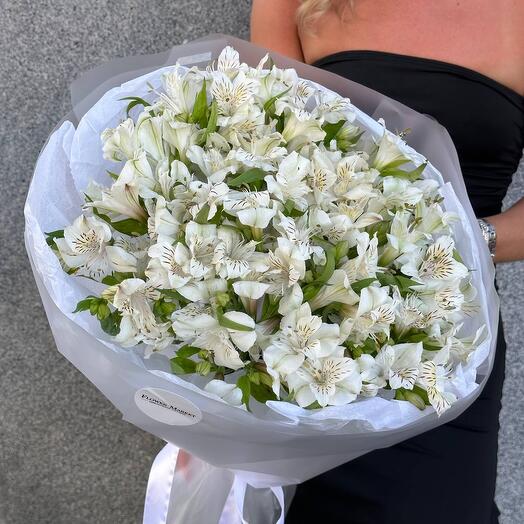 Белая альстромерия