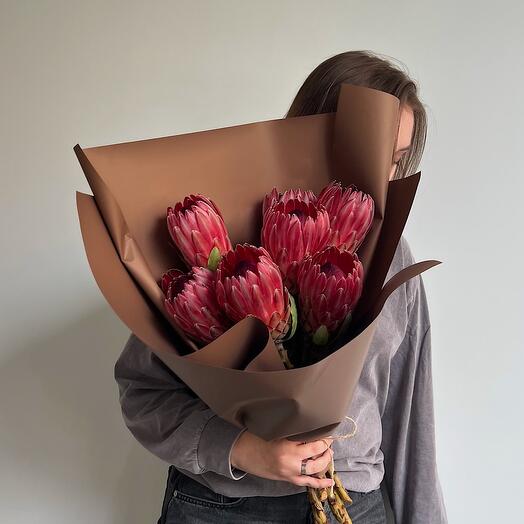 Монобукет из красной Протеи