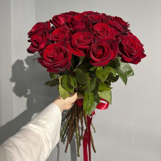 21 Rosa L-60