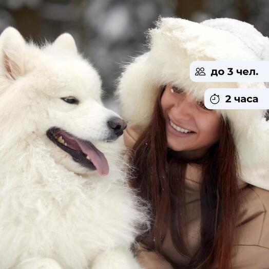 В фокусе. Самостоятельная фотосессия с самоедом