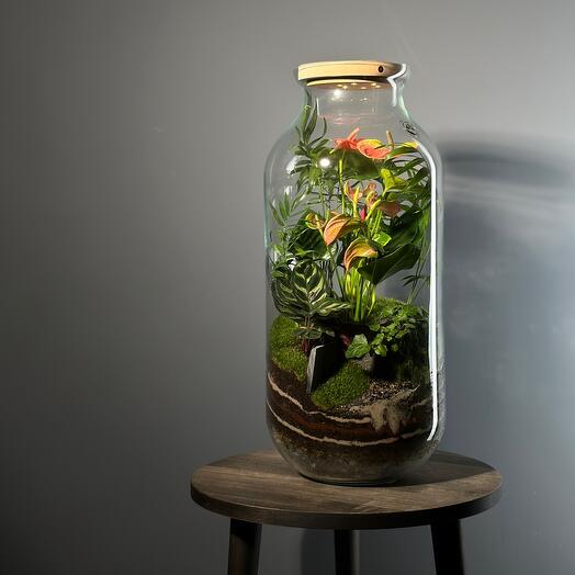 Большой цветущий флорариум с подсветкой - Флостон люкс