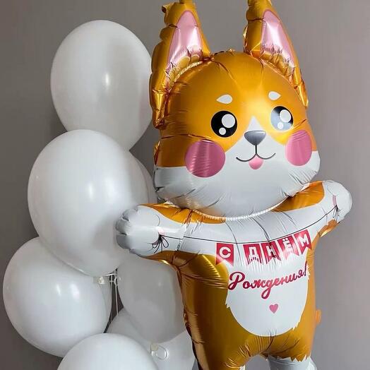Шары корги