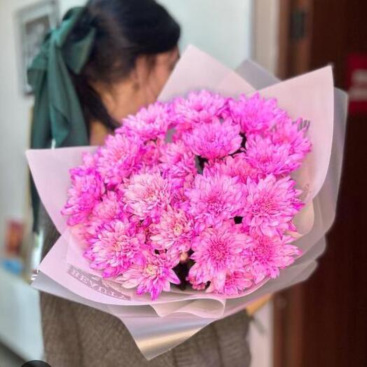 Хризантема фуксия 7