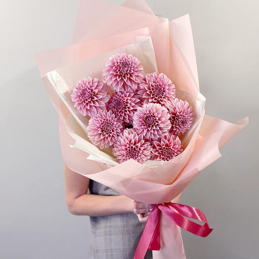 Pink dahlias