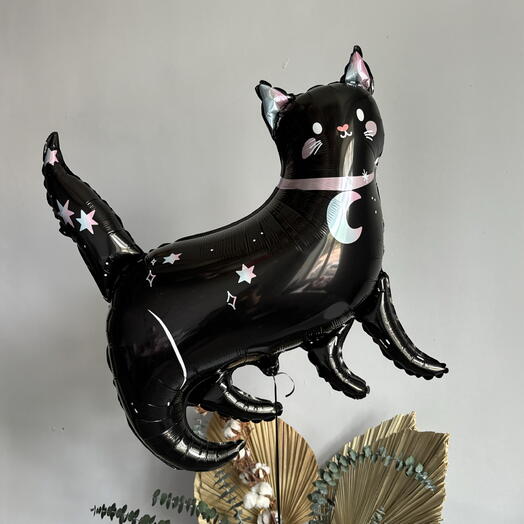 Шар кошка кот кошечка котёнок. Шары животные