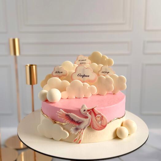 Торт 1кг на выписку