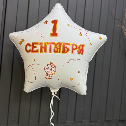 Фигура фольгир. 1 сентября 1 шт