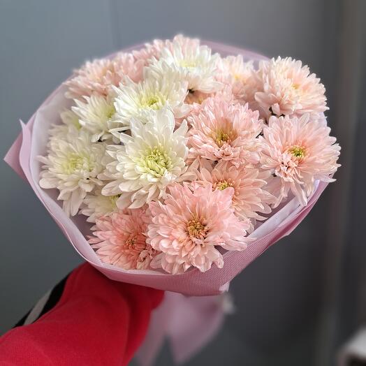 Хризантема Mix