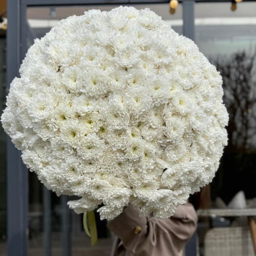 WOW букет из белоснежных хризантем