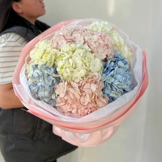 Букет "Нежные гортензии"