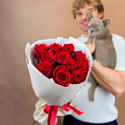 Бордовая Роза Эксплорер Explorer в оформлении 11 шт