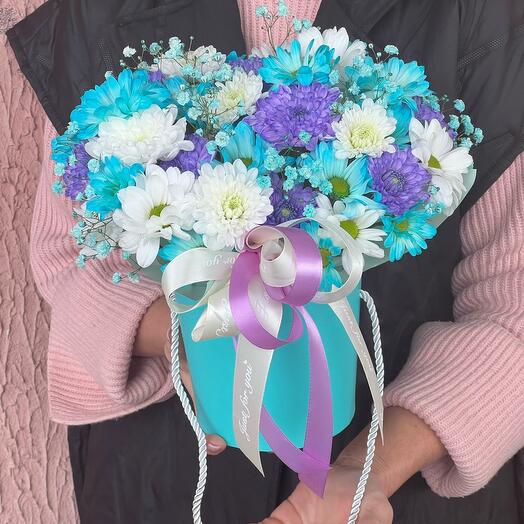 Хризантемы Голубое небо 💙🩵