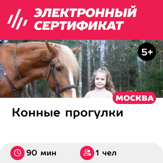 Подарочный сертификат Конная прогулка для 1 человека в составе группы (90 мин.)
