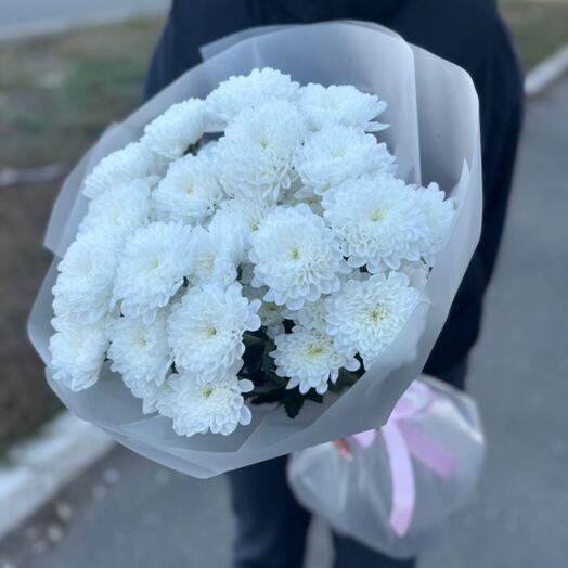 Хризантема в белом