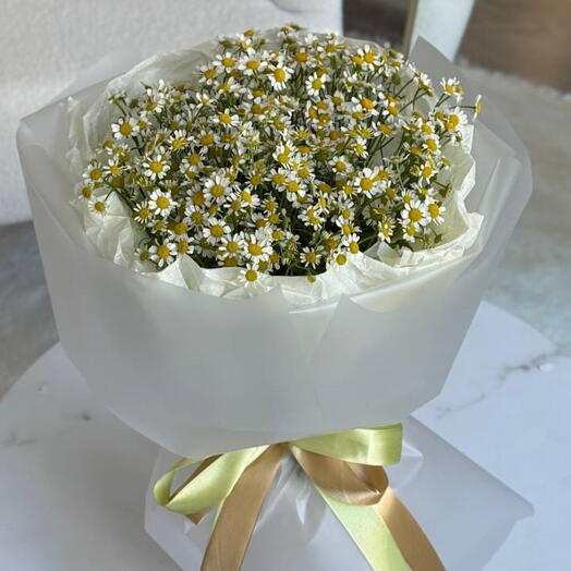 Матрикария