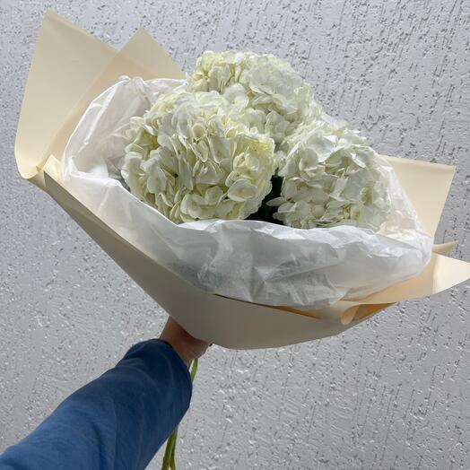 Комплимент