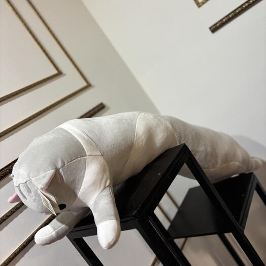 Кот подушка