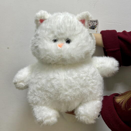 Кот полный позитива