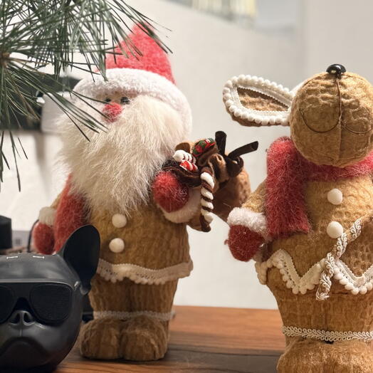 🎄 Новогодняя съемка 🎄 в фотостудии автопортрета ВОЗДУХ / слот 60 минут