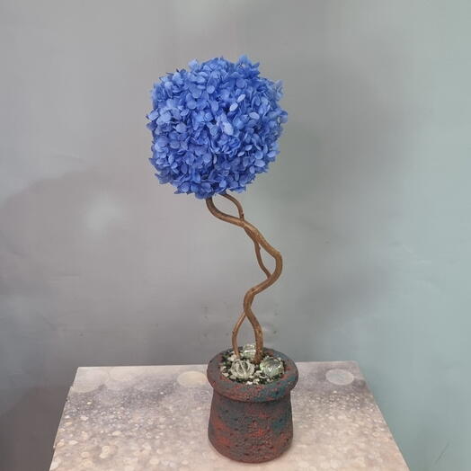 Топиарий из стабилизированной гортензии