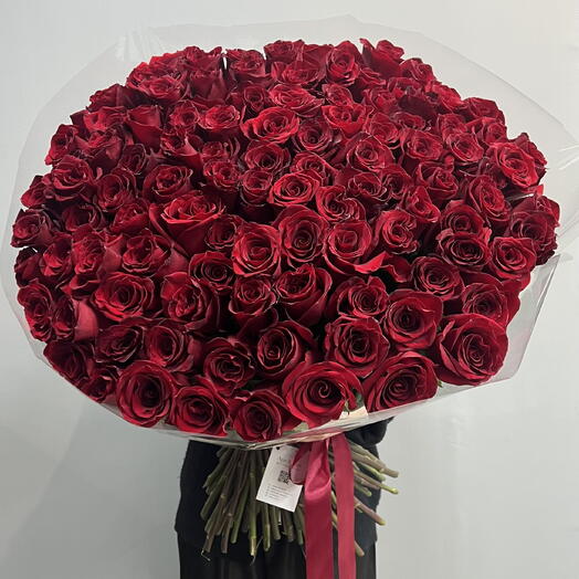 101 Роза красная крупная и высокая PREMIUM ROSE