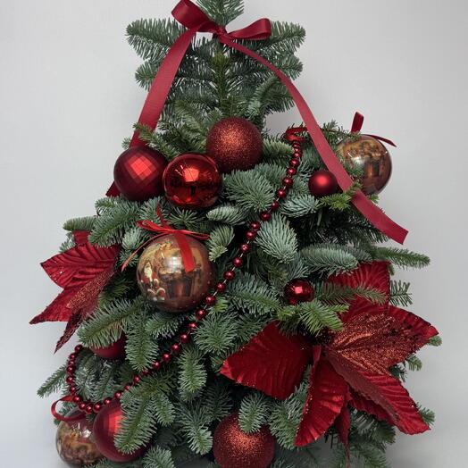 Ель из нобилиса