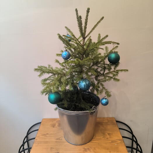 Живая ёлка в металлическом среднем ведре украшенная